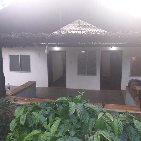 Durf Green Madikeri Bagian luar foto