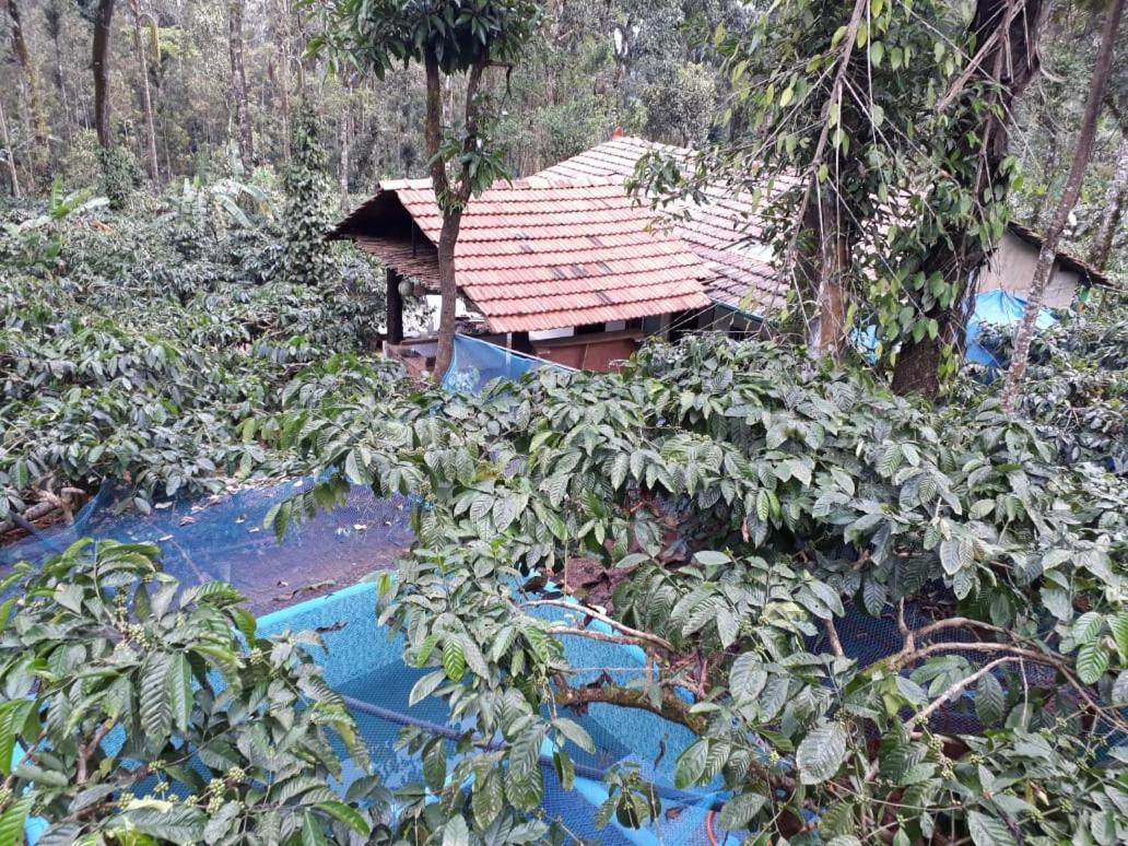 Durf Green Madikeri Bagian luar foto