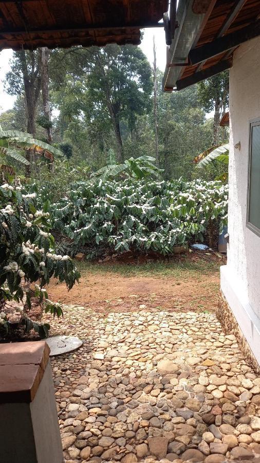 Durf Green Madikeri Bagian luar foto